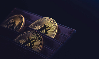 Сколько компаний работает в Беларуси с криптовалютой