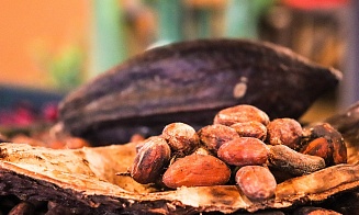 Цены на какао-бобы взлетели до нового исторического рекорда
