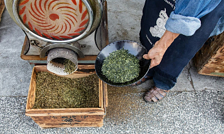 Подвинься, матча! Из-за дефицита зумеры перешли на новый напиток