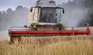 На сколько снизился урожай зерновых в 2023 году: Минсельхозпрод назвал точную цифру