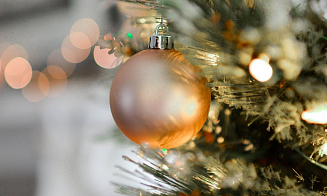 В Беларуси составили карту елочных базаров