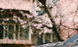 Туманы утром, до +16°C днем. Чего ждать от погоды на предстоящей рабочей неделе