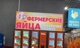 В Беларуси установили первый яйцемат. Что это такое