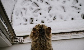 Выходные дома? Синоптики предупредили о морозах до 30°С 