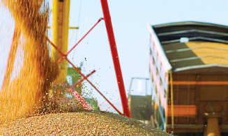 В Беларуси еще на полгода продлили лицензирование на экспорт зерна