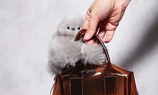 Вы уже слышали о Мируми? В Японии выпустили свой ответ Лабубу