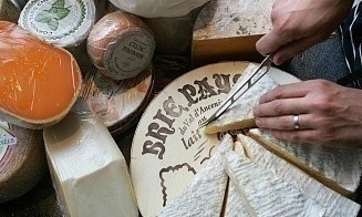Сыры камамбер и бри могут исчезнуть навсегда из-за дефицита плесени