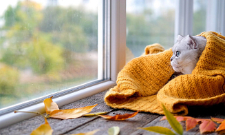 Синоптики объявили оранжевый уровень опасности из-за непогоды в последние выходные октября