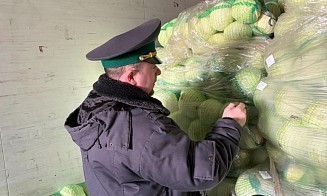 Из России в Беларусь не пропустили крупную партию капусты