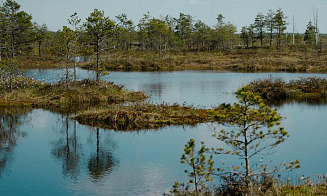 Россия приравняла туры в дружественные страны к внутреннему туризму. Это касается и Беларуси