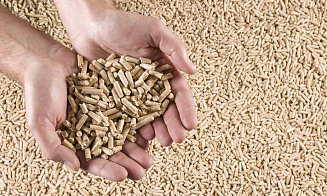 В Беларуси ужесточили условия для продавцов твердого топлива