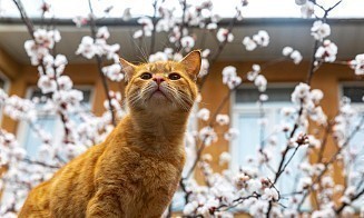 Аномально теплая весна в Беларуси бывает раз в 15 лет. Чего ждать в этом году