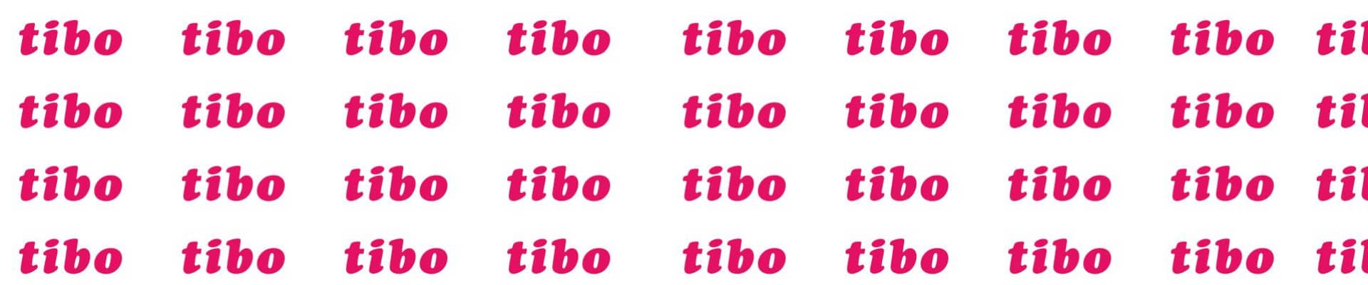 TIBO 2019