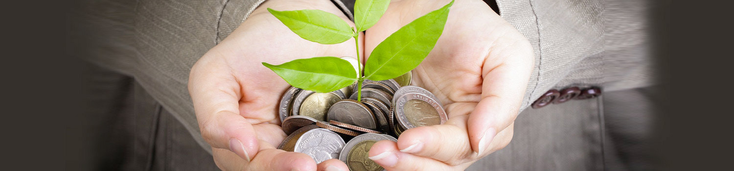 Управление личными финансами и правильное инвестирование