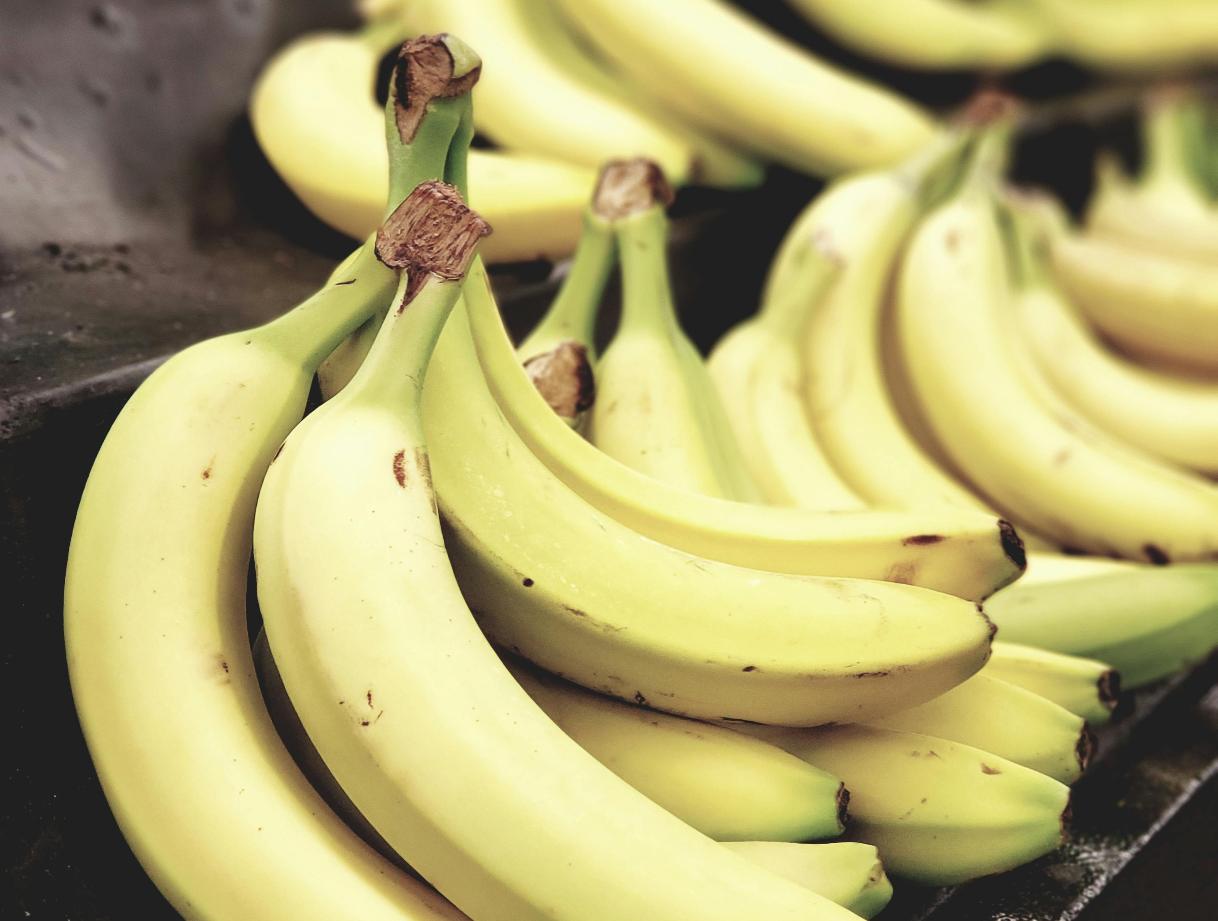 В порту Санкт-Петербурга на судне с бананами из Эквадора обнаружили 60 кг кокаина