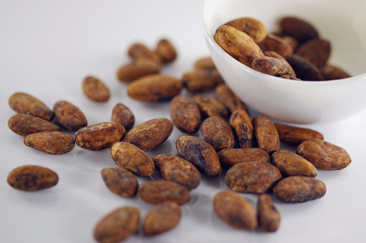 Какао-бобы впервые в истории подорожали до $11 тыс. за тонну