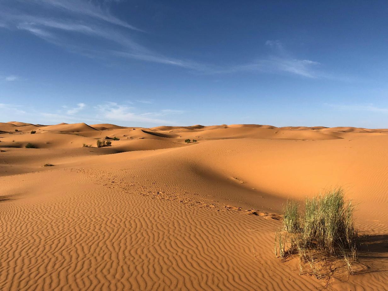 Белгидромет: до Беларуси долетела пыль из Сахары